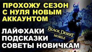 BDM: СЕЗОН. Прохожу на новом акке. Советы, подсказки, лайфхаки в Black Desert Mobile (БДМ)