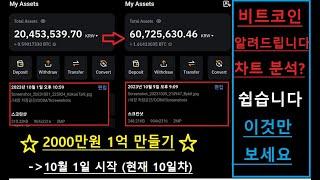 지금 비트코인 차트 쉽습니다. 이것만 보세요 / 2000만원 1억 만들기 매매 공개
