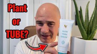 Aloe Vera Plant or Aloe Vera Gelly in a tube from Forever Living Products?