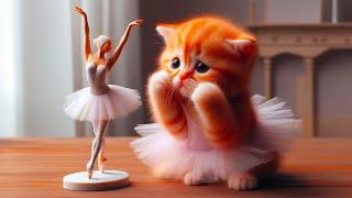 The bullied Sad Kitten who loved dancing becomes a star #cat (keep your dreams alive)