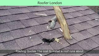 Roofer London