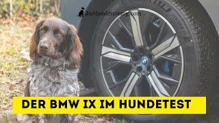 Der neue BMW iX im Hundetest ⎮DieHundezeitung