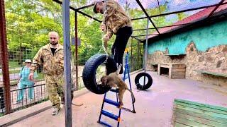 ДОЖДАЛИСЬ! Мы идем к Люсе и компании и делаем им тренажерный зал! Реакция гамадрилят СУПЕР!!!