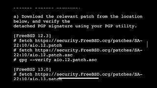 PS4 12.50 Jailbreak News | New Kernel Bug For Possible For PlayStation 4 12.50
