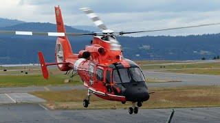 Rare! U.S. Coast Guard Eurocopter MH-65 Dolphin Landing, Startup & Takeoff From YYJ