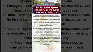 Какие цветы посадить возле дома для ЗАЩИТЫ ОТ ЗЛА #эзотерика #приметы #цветы #защитнаямагия