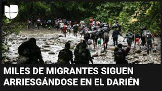 Migrantes se arrepienten de cruzar la selva de Darién para llegar a EEUU: "Nos robaron todo"