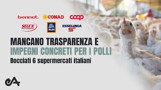 Mancano trasparenza e impegni concreti per i polli: BOCCIATI 6 supermercati italiani