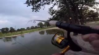 Pond Fishing For Giant Catfish (Broke My Line)