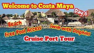 Welcome to Costa Maya!!!!!!!!!! Free Beach Swim with the Dolphins/Jan 2025