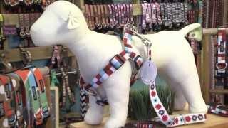 Sneak Peak into Paw Paws USA- Made in the USA Dog products!