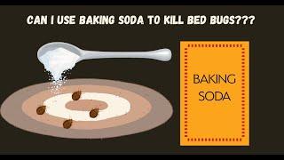 How to get Rid of Bed Bugs - Does Baking Soda Kill Them