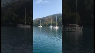 Расходы в плавании во многом зависят от типа выбранной стоянки. #яхтинг #яхтингвтурции