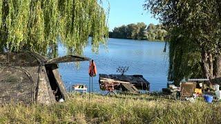 Втомився бігать! Оце так накормили Клює на усі снасті зразу! Стратегія лову дикої риби від чемпіонів