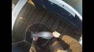 #8: Boat Fishing At Lechlade On The Intermediate Line With Martyn Williams