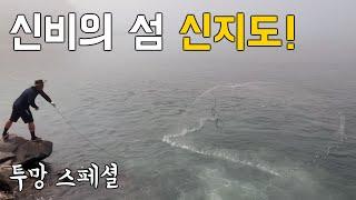 물고기의 천국! 신비의 섬 신지도! 투망을 던지면 모든 물고기가 다 나온다! 신지도 스페셜