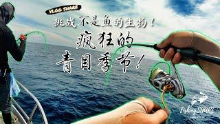 【FishingShare】疯狂的青目季节！挑战不是鱼的生物！FRENZY BIGFIN REEF SQUID SEASON! Catching a Non-Fish Creature!