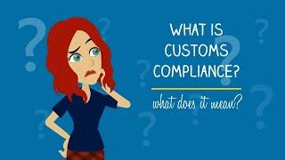 What is customs compliance?