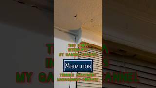 Terrible Apartment Management Service Medallion Corporation | Water Leaking in Apartment