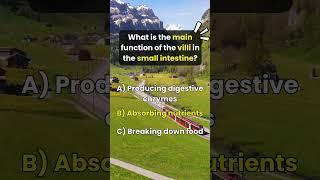Test Your Anatomy Knowledge 11 | Anatomy Quiz #gkquiz #trivia #funquiz #anatomyquiz