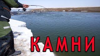 ОТКРЫТИЕ спиннингового СЕЗОНА. Шолак, Камни.