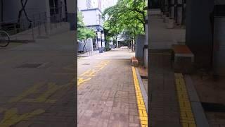 고등학교 친구들과 캠핑가요#캠핑