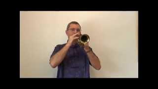 Soul song for Thank you, Love you - Danny Carney Trumpet - by Master Sha