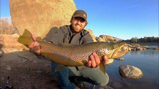 Catching MONSTER Trout at a Mountain Lake!! + Delicious Fish Taco’s