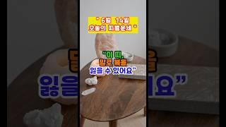 [오늘의 운세] “6월 14일 띠별운세” #띠별운세 #금전운 #운세채널 #미미의운정비서 #운세 #운세숏츠 #오늘의운세 #6월운세 #shorts