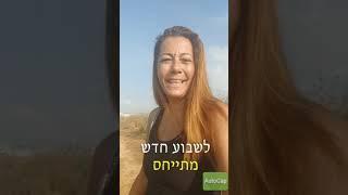 גלי טויזר עץ התובנות - הכל קורה בסדר הנכון !