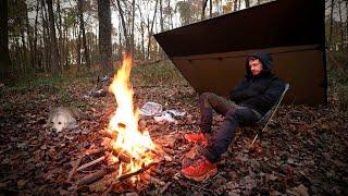 Tarp Camping at the Bushcraft Camp! | Fall Overnighter with DOG!