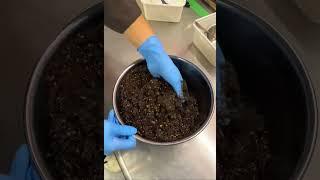 用巧克力碎和可可饼干做成的浓郁芝士蛋糕 福岡  六本松 【店名】KAKA cheesecake store  【营业时间】10:00-18:00 【休息日】不定期 #日本 #日本美食 #分享