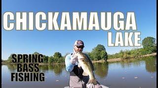 CHICKAMAUGA LAKE: Texas Rig for Spring Bass