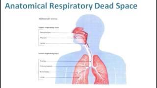 Vapotherm in the NICU | Clinical & Financial Impact | A Webinar Presented by Dr.  Mike McQueen