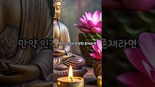 부처님의 가르침 #깨달음 #부처님  #명상
