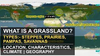 What are Grassland | Types - Temperate & Tropical | Location, Characteristics, Climate | Geography