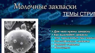 Молочные закваски. Все о молочных заквасках. Для чего нужны и как ими пользоваться.