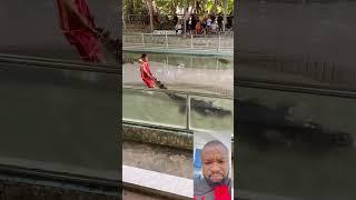 Man and corocodile #comedy #nolly #nollyhoodmovies