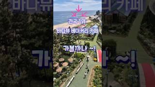전국1위 속초 바다뷰 베이커리카페 (바다정원 )가볼까요?!푸른바다 힐링되는 정원카페#속초바다뷰카페#고성오션뷰카페추천#속초가볼만한곳#고성바다뷰카페#속초여행