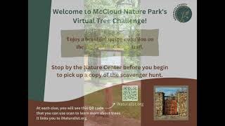 Virtual Tree Challenge at McCloud Nature Park