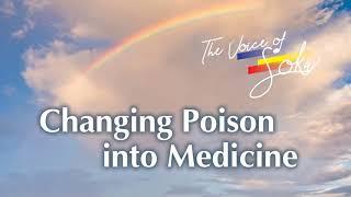 VOS 5.0 Changing Poison into Medicine