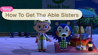 Animal Crossing New Horizons How To Get The Able Sisters Shop!