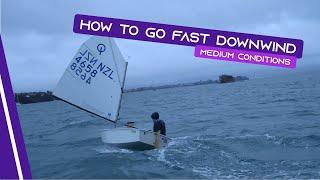 OPTIMIST SAILING - How To Go Fast Downwind | [Medium Conditions]