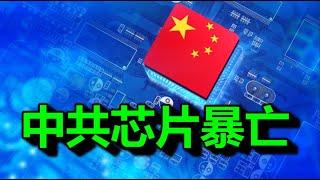 死刑，引爆一整个芯片江湖