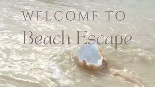 Perfect Beach Vacation Rental St Augustine Beach