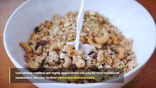 Vietnamese Food Industry: CASHEW NUT