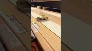 One of My Favorite Sushi Restaurants in Japan