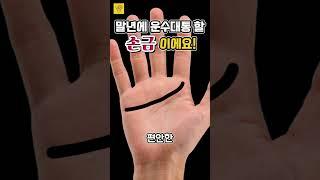 말년에 운수대통 할 손금입니다. #풍수 #운세 #손금