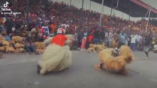 Enugwu-ukwu masquerade festival... @Rough_culture1