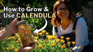 CALENDULA: How to Grow & Use This Beneficial Companion Plant